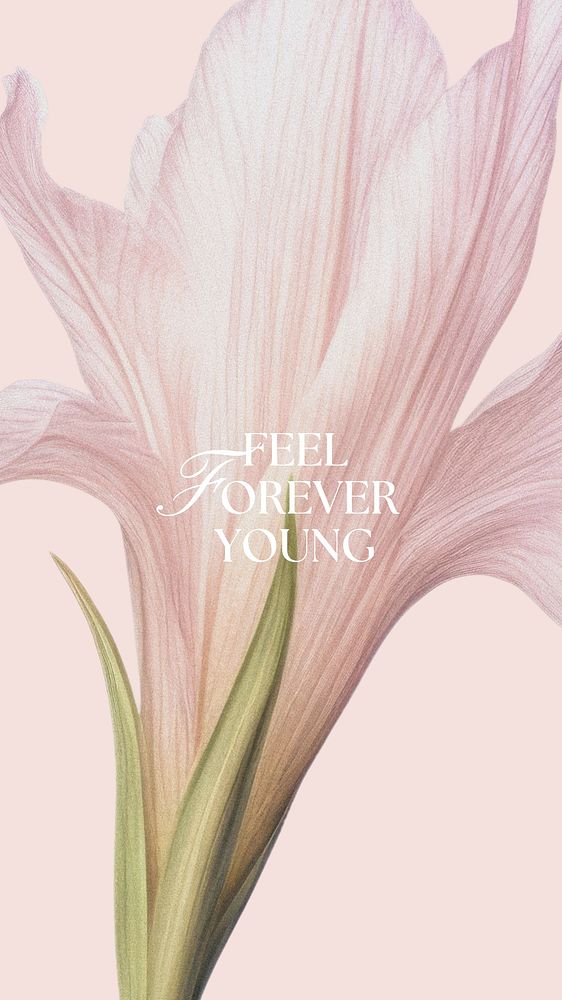 Feel forever young quote Facebook story template