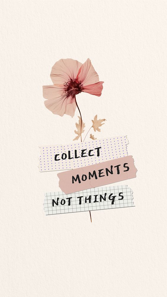 Collect moments not things quote Facebook story template