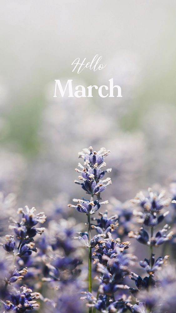 Hello March Facebook story 