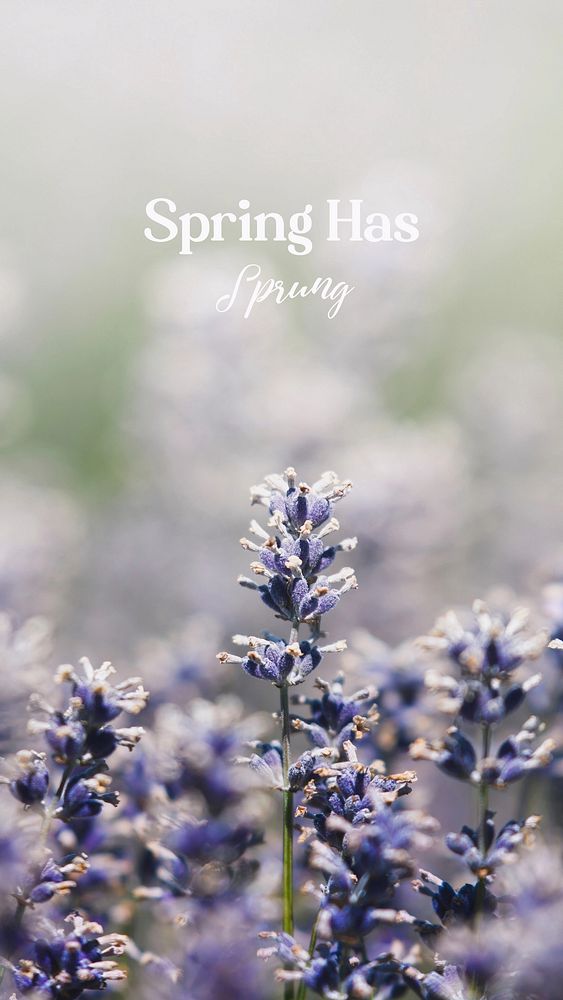 Early spring Facebook story 