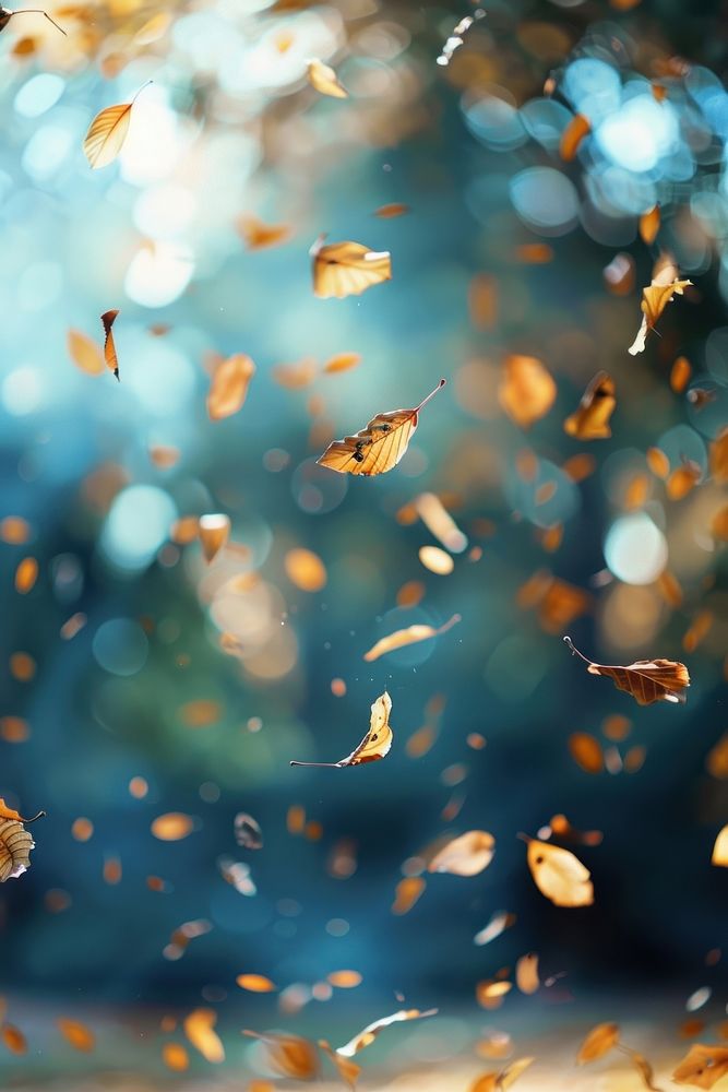 Falling leaves backgrounds outdoors confetti.