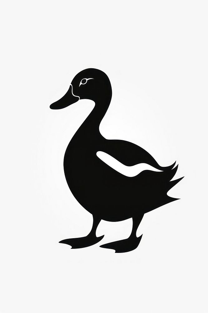 Duck silhouette duck waterfowl.