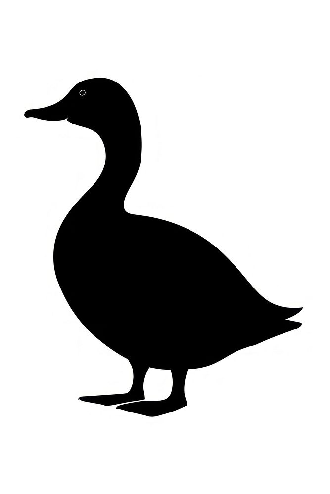 Duck silhouette waterfowl animal.