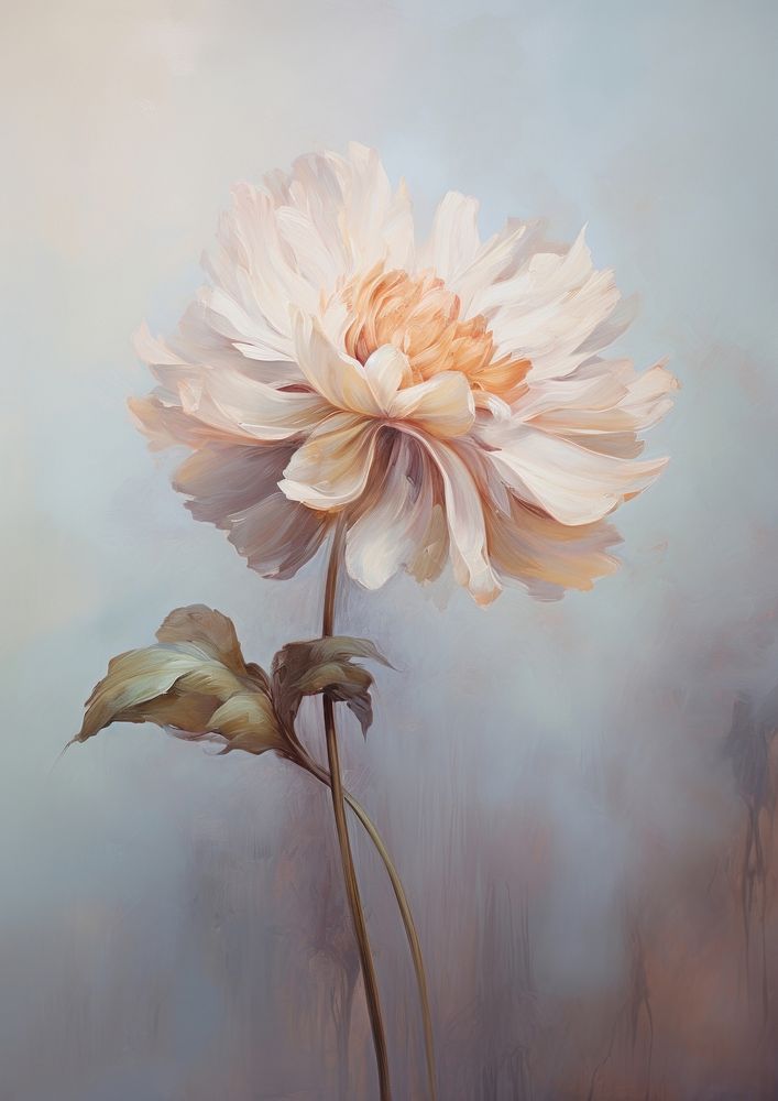 Close up on pale flower painting dahlia plant.