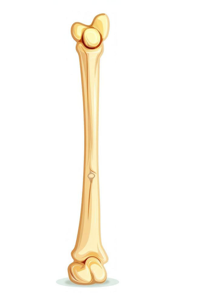 Long bone icon baseball softball cutlery.