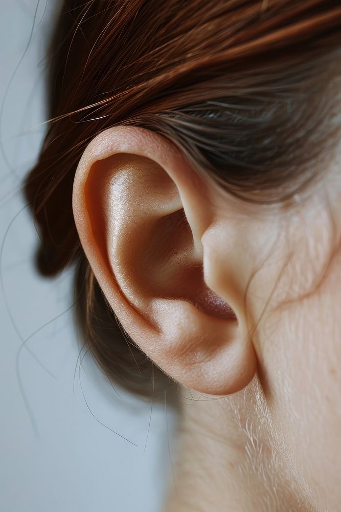 Human ear jewelry earring adult.