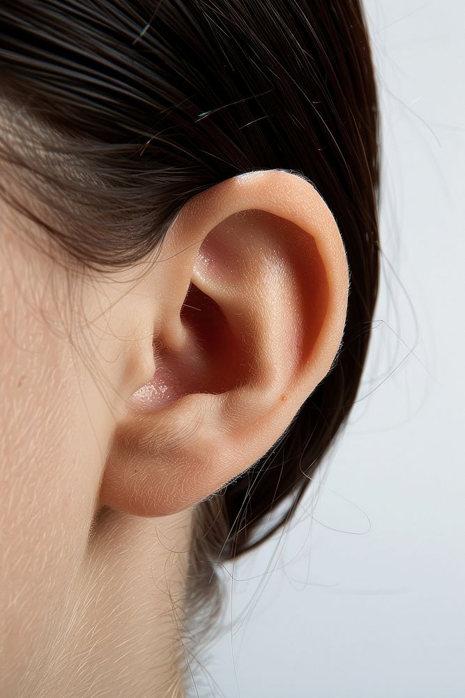 Human ear jewelry earring adult.