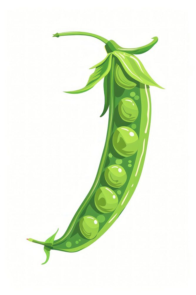 Flat illustration green pea vegetable plant food.