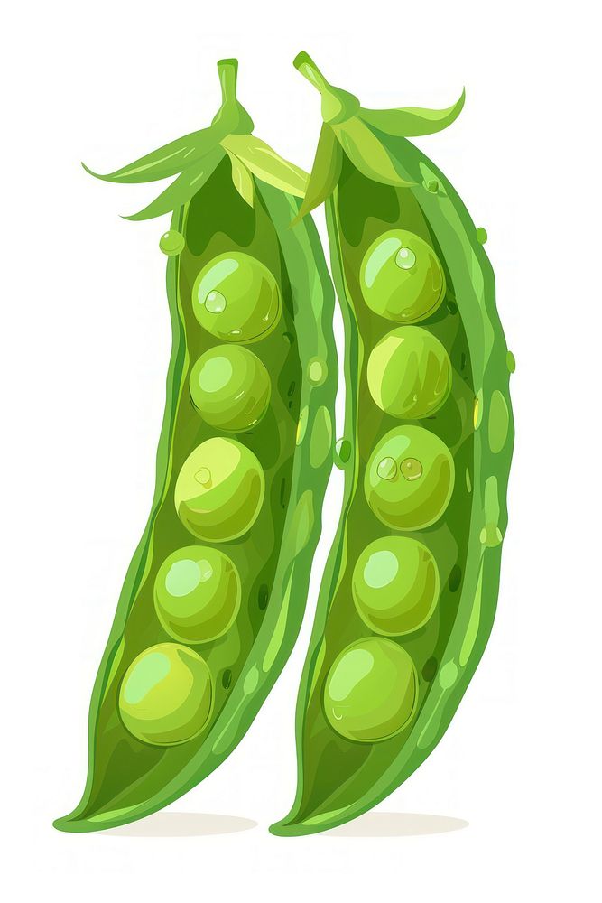 Flat illustration green pea vegetable plant food.