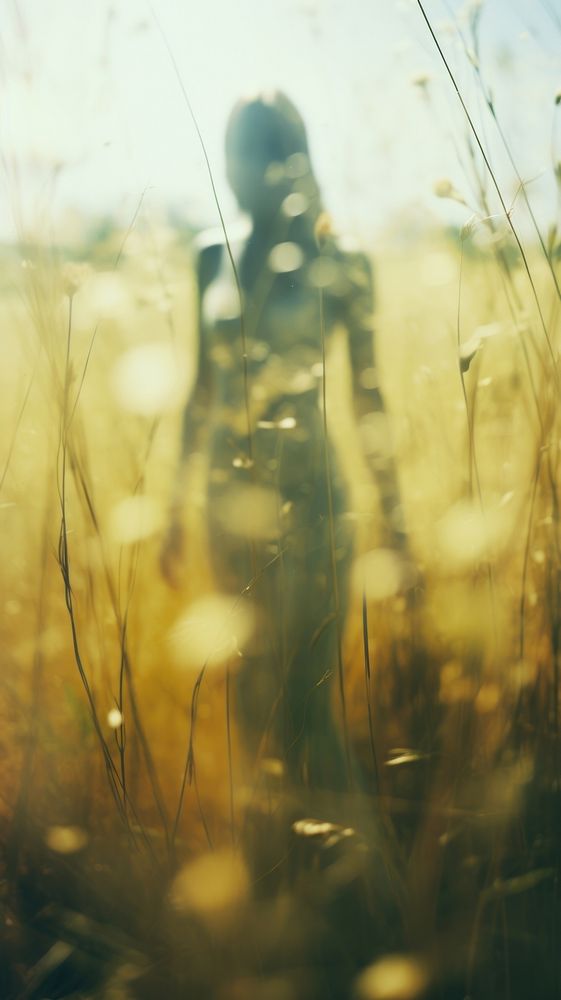 A grassland photography sunlight outdoors.