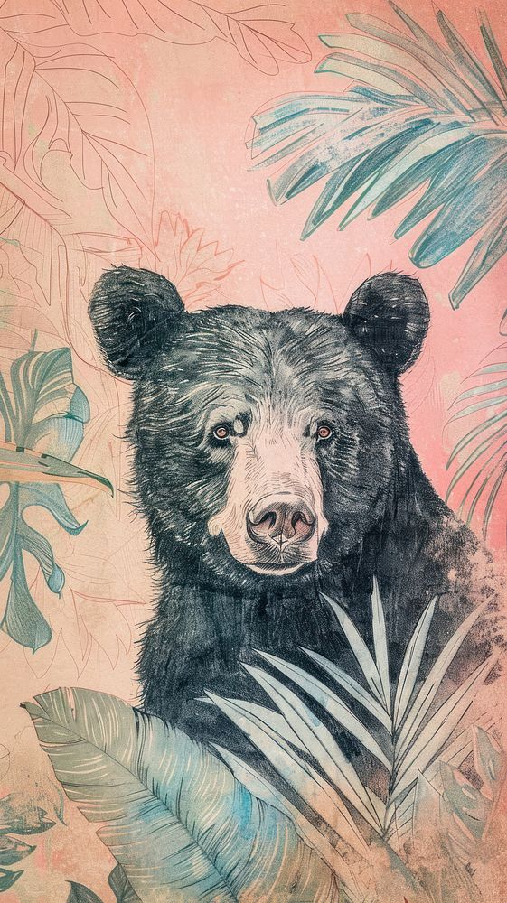 Wallpaper Bear drawing sketch bear.
