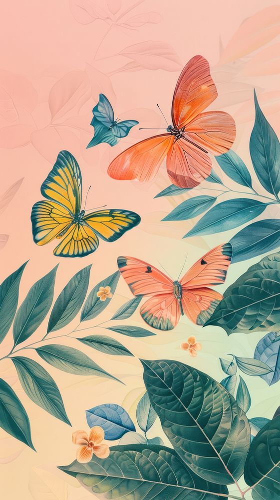 Wallpaper Butterfly butterfly pattern drawing.