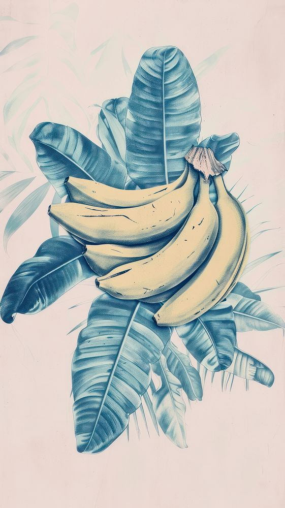 Wallpaper Fruit fruit drawing banana.
