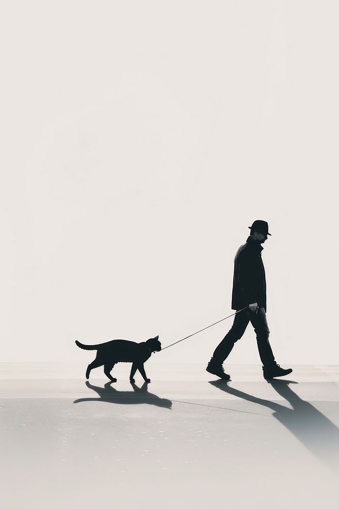 Person walking a cat footwear mammal animal.