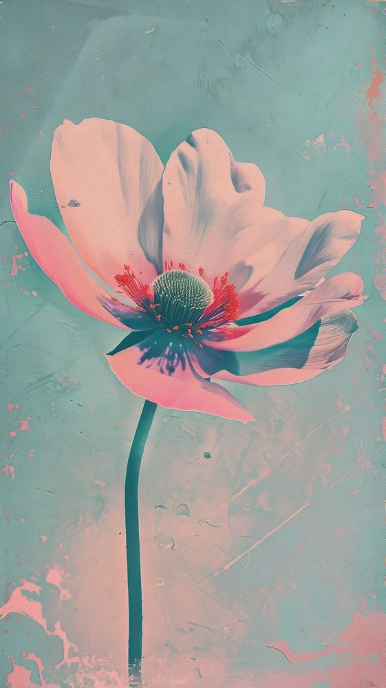 Silkscreen of a anemone art painting flower.
