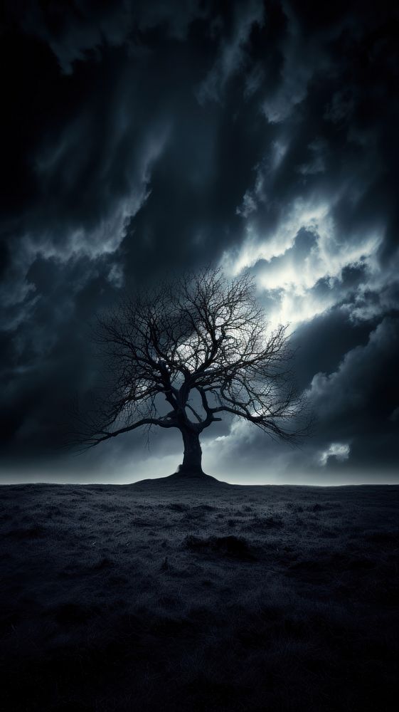 Dark sky background silhouette outdoors nature.