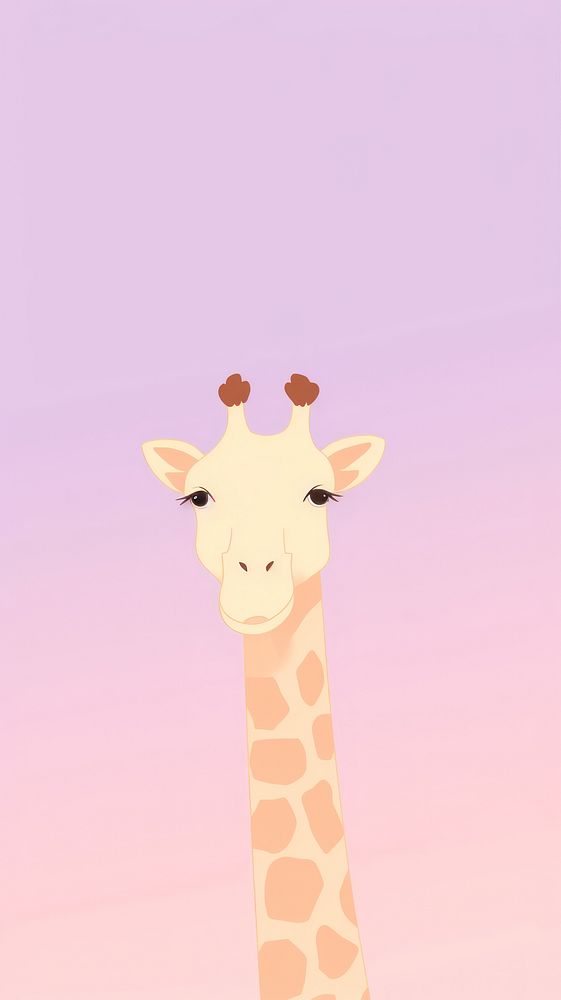 Giraffe selfie cute wallpaper giraffe animal wildlife.