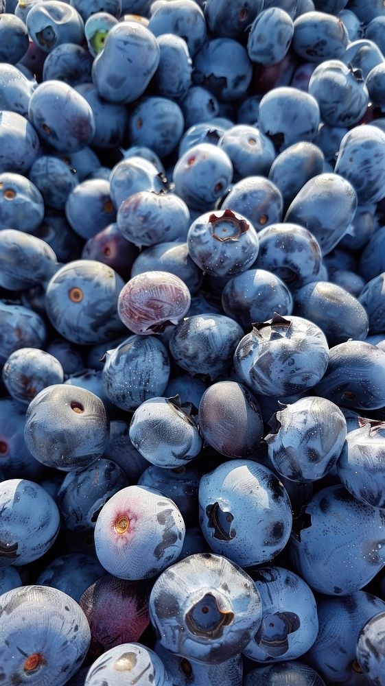 Blueberries blueberry produce cricket.