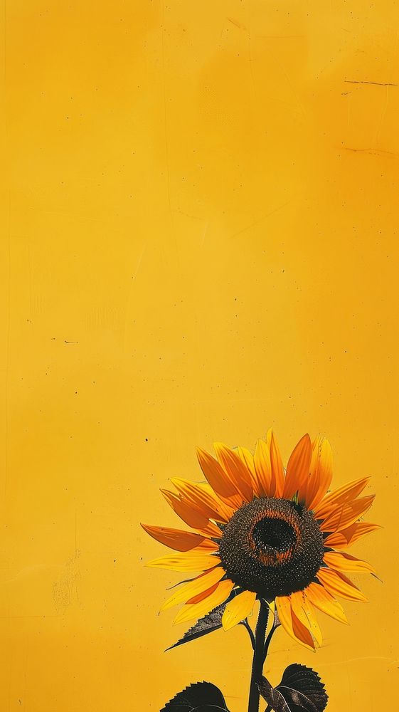 Silkscreen on paper of a sunflower blossom machine plant.
