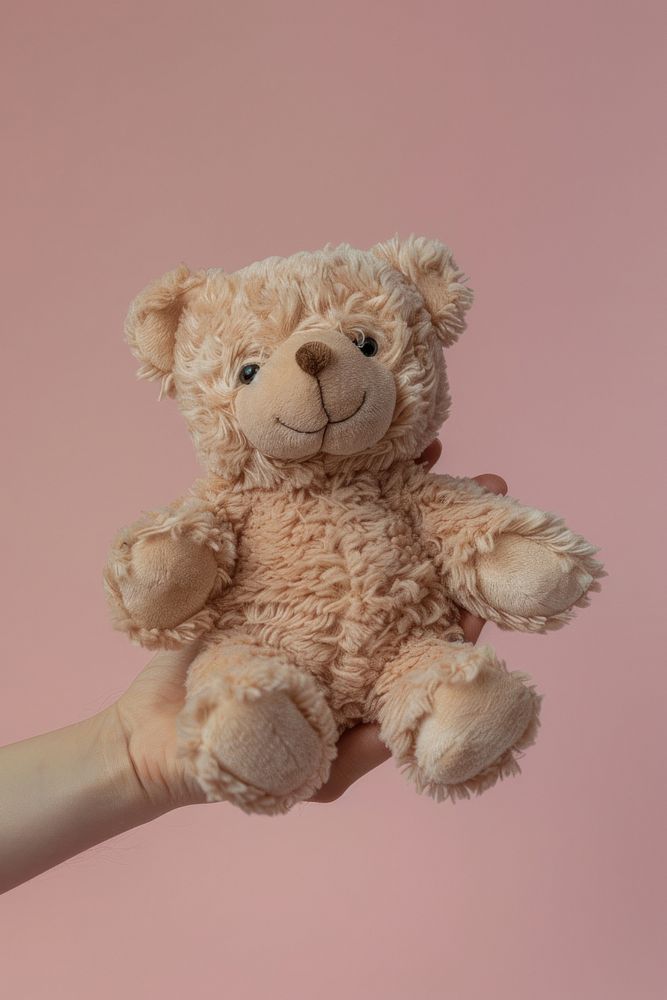 Hand holding teddy bear plush toy.