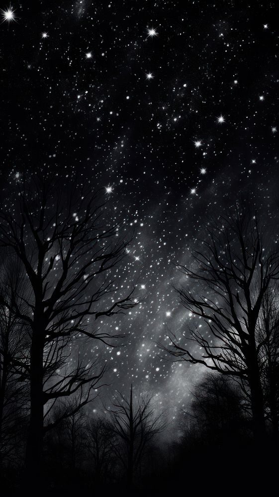 Night sky starry sky astronomy outdoors.