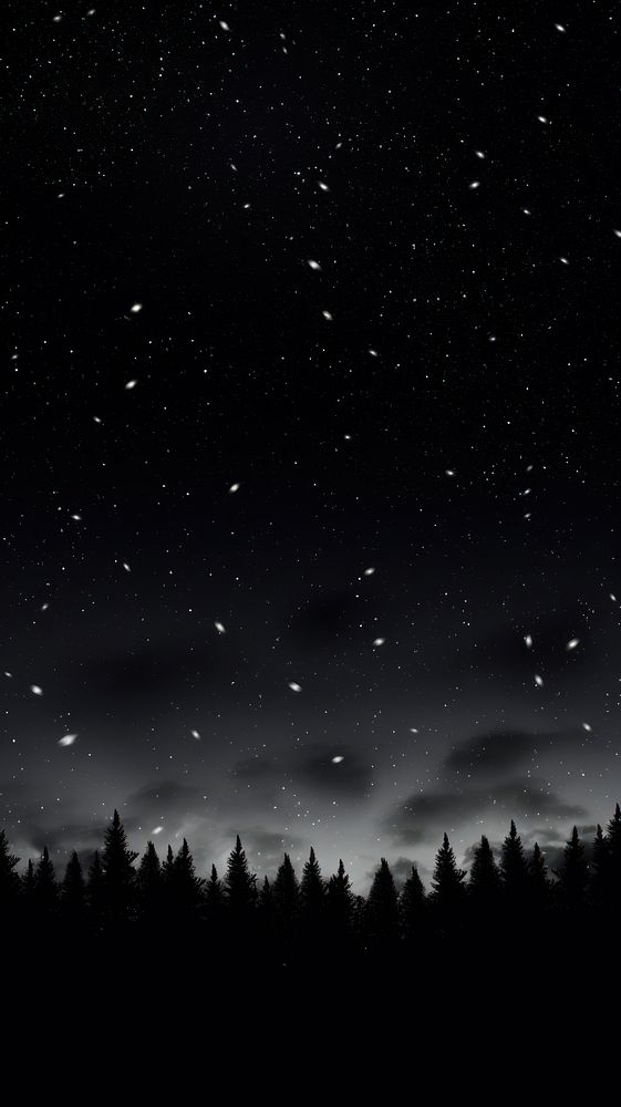 Starry night sky tree vegetation outdoors.