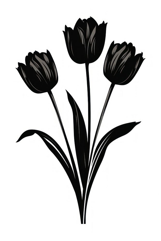 Tulips silhouette art blossom flower.