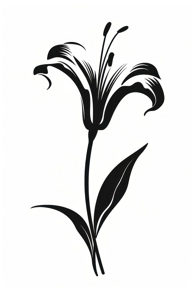 Lily silhouette art blossom stencil.