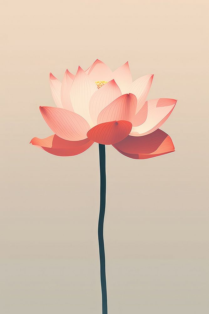 Minimalist Illustration of lotus blossom flower dahlia.