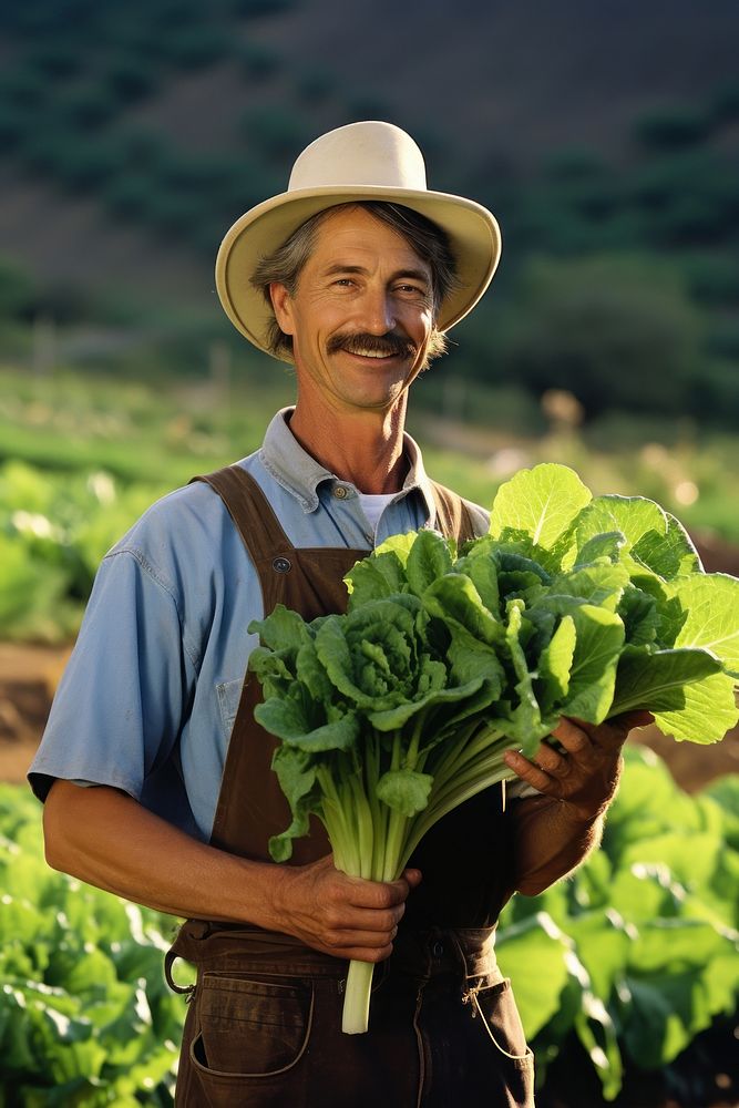 A happy Farmer holding fresh butter head lettuces vegetable produce female.