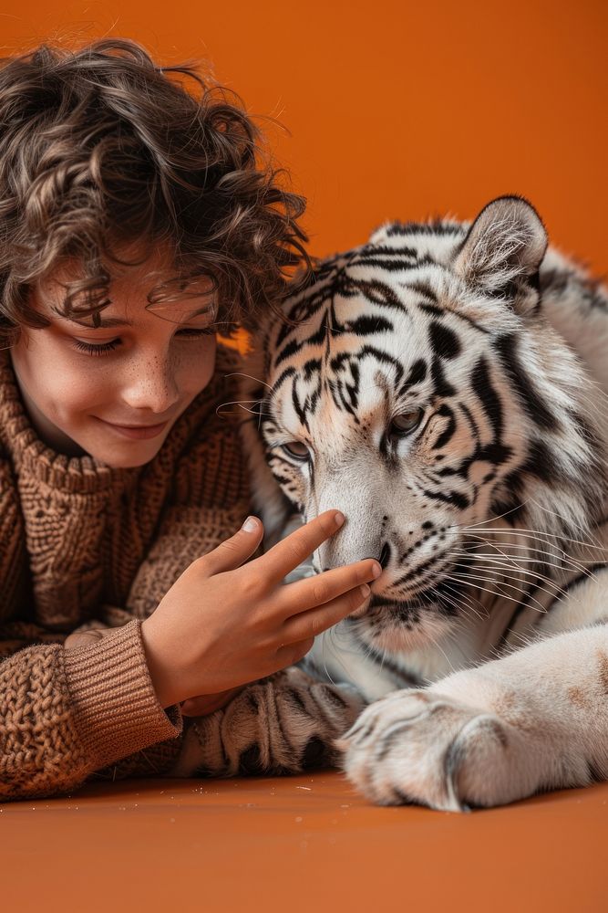 Petting snow tiger photo photography | Free Photo - rawpixel