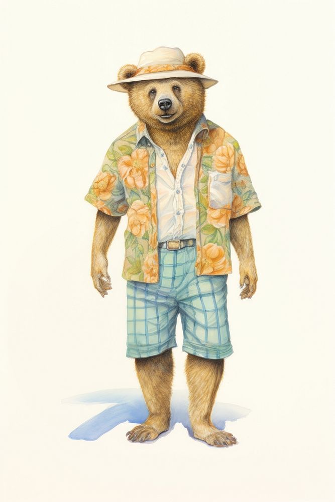 Bear character Summer Travel beachwear clothing wildlife.