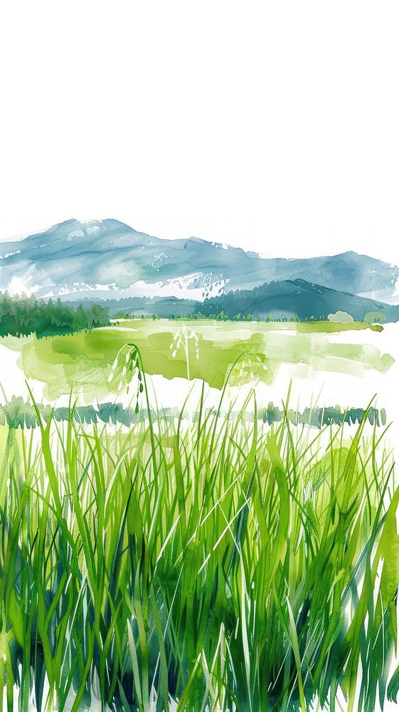 Illustration of rice field grassland landscape outdoors.