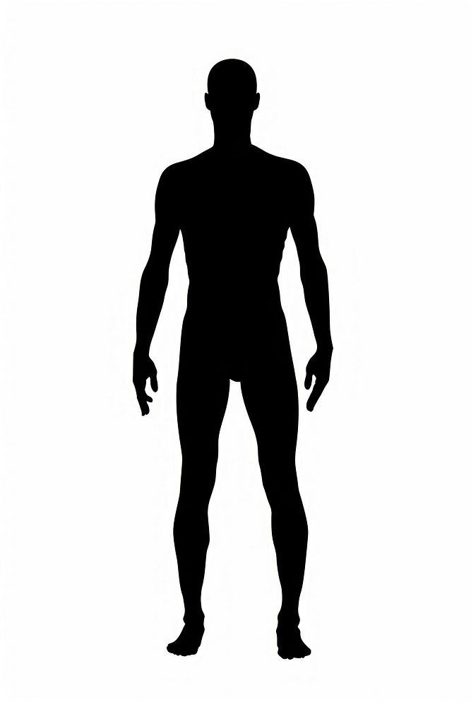 Man mannequin silhouette clip art adult white background bodybuilding.