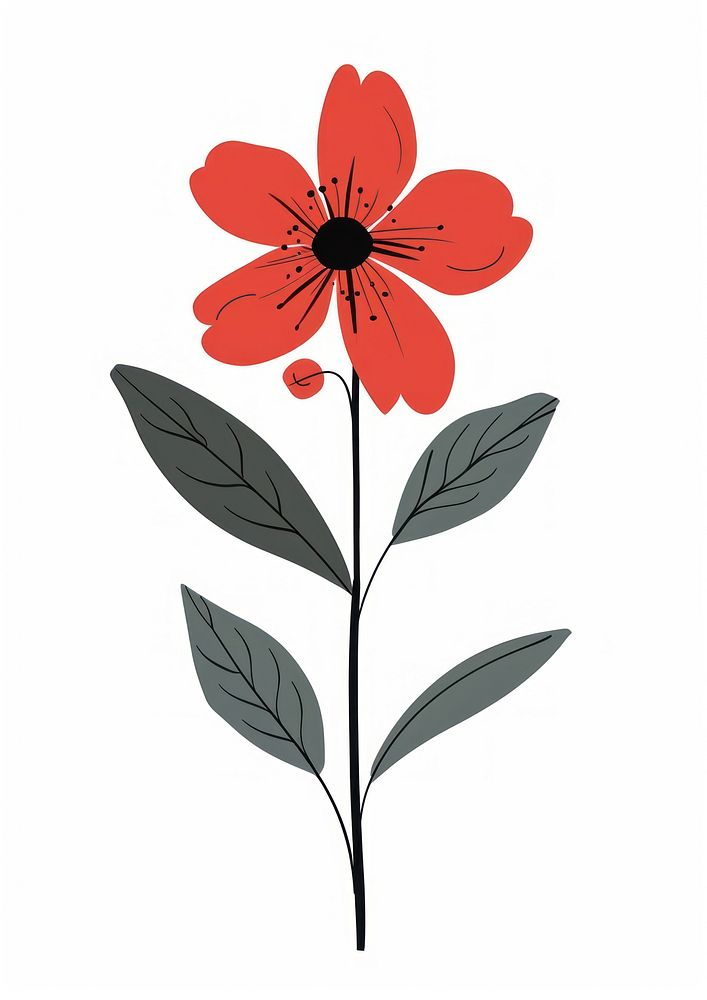 Flat vector hand drawn illustration a wildflower asteraceae blossom pattern.