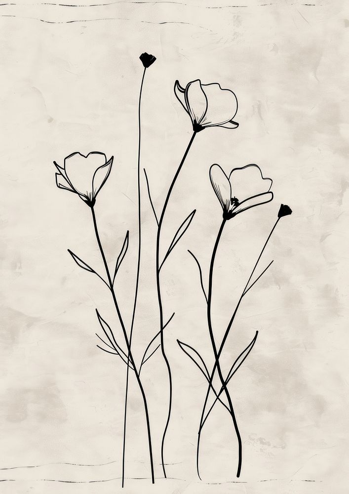 Hand drawn line botanical with a trendy wildflower illustrated painting drawing.