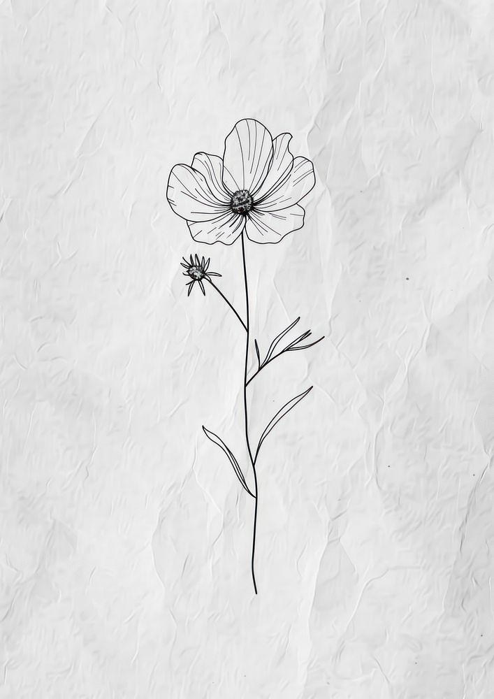 Minimal line art Hand drawn a wildflower for logo illustrated drawing sketch.