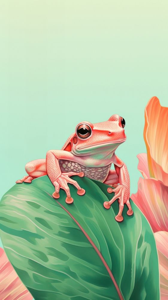 Wallpaper frog amphibian wildlife reptile.