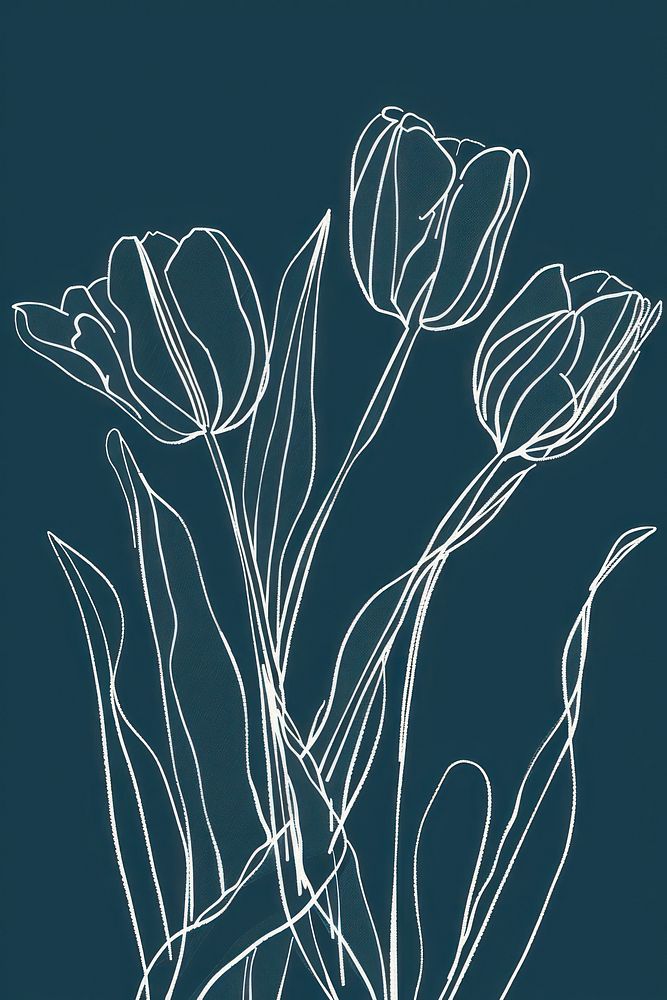 White tulips illustrated blackboard graphics.