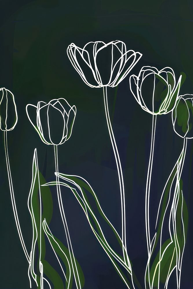 White tulips illustrated blackboard blossom.