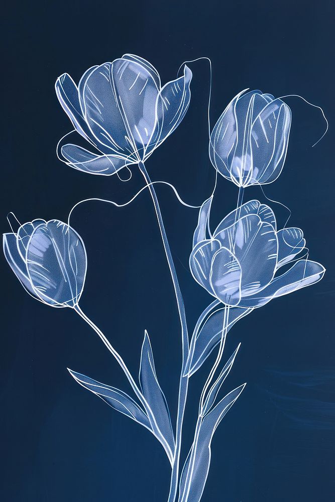 White tulips plant art.
