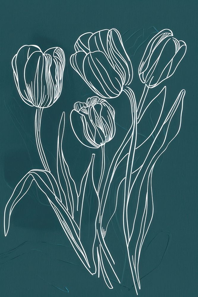 White tulips invertebrate illustrated blackboard.