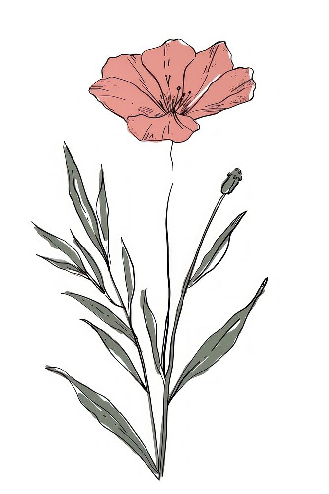 Flower sketch art illustrated.