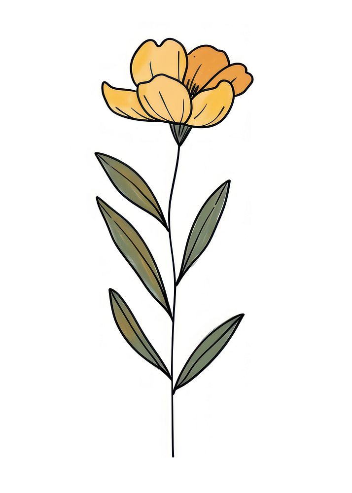 Flower sketch art illustrated.