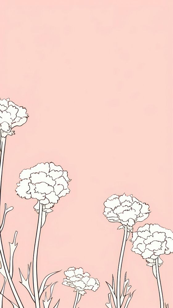 Stroke painting white Carnations illustrated drawing blossom.