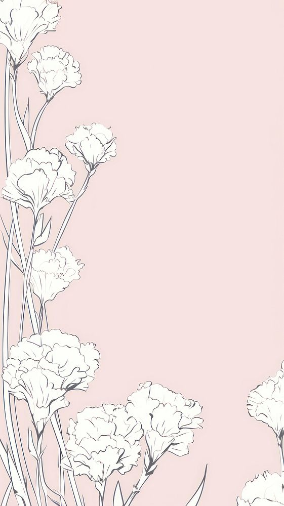 Stroke painting white Carnations carnation pattern illustrated.