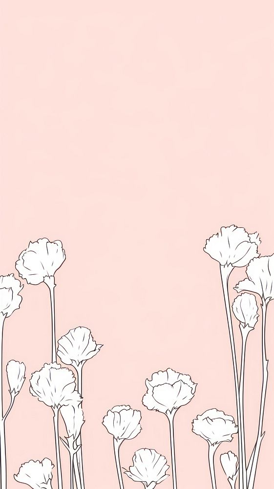Stroke painting white Carnations pattern illustrated graphics.