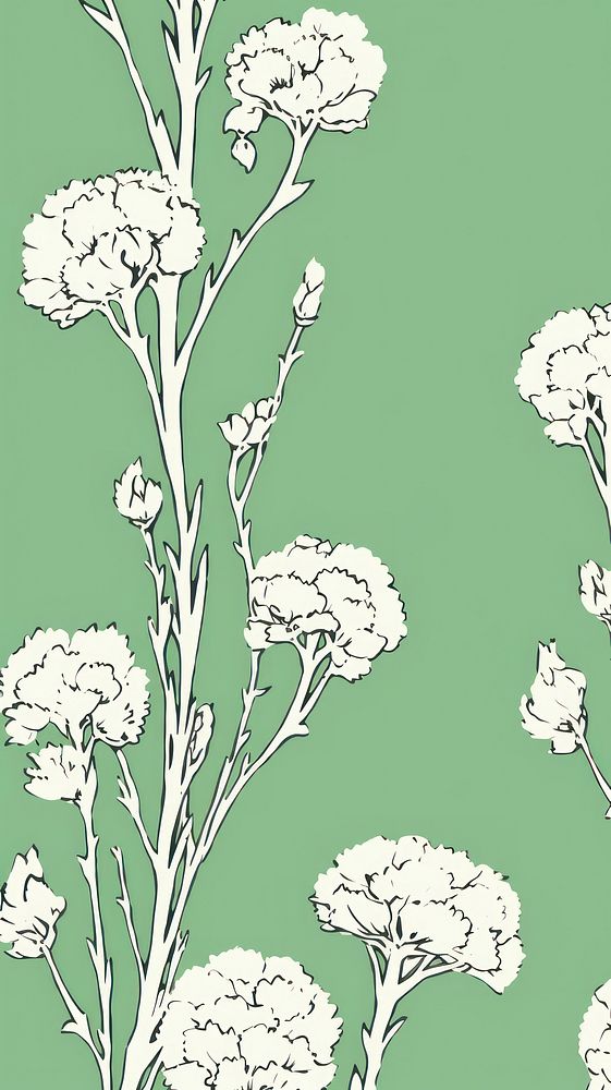 Stroke painting white Carnations pattern illustrated graphics.