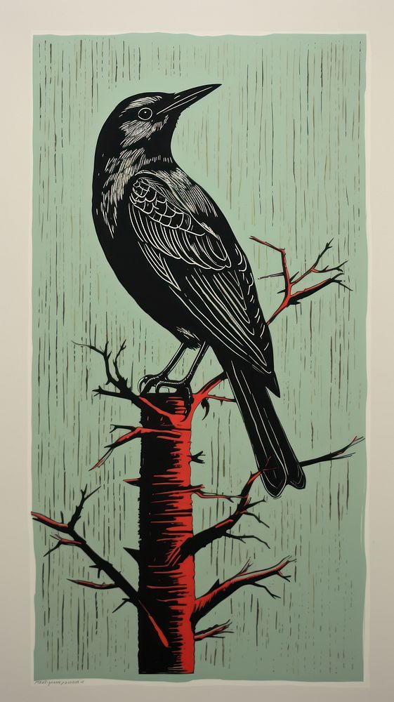 Bird blackbird agelaius animal.