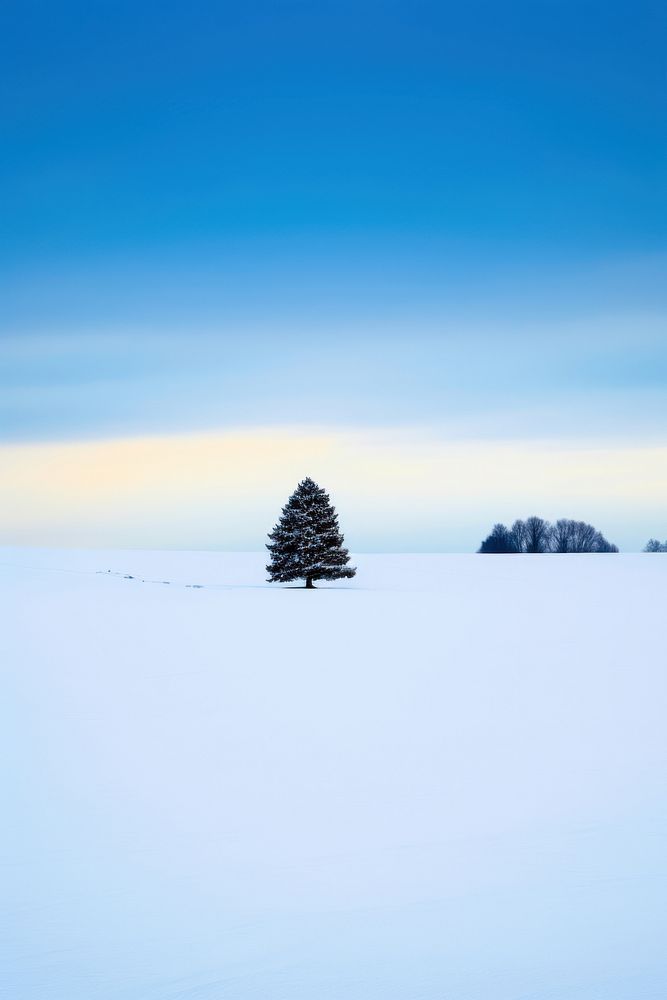 Photo of a country landscape ground snow.